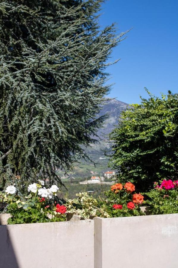 Villa Cipriano Минтурно Экстерьер фото